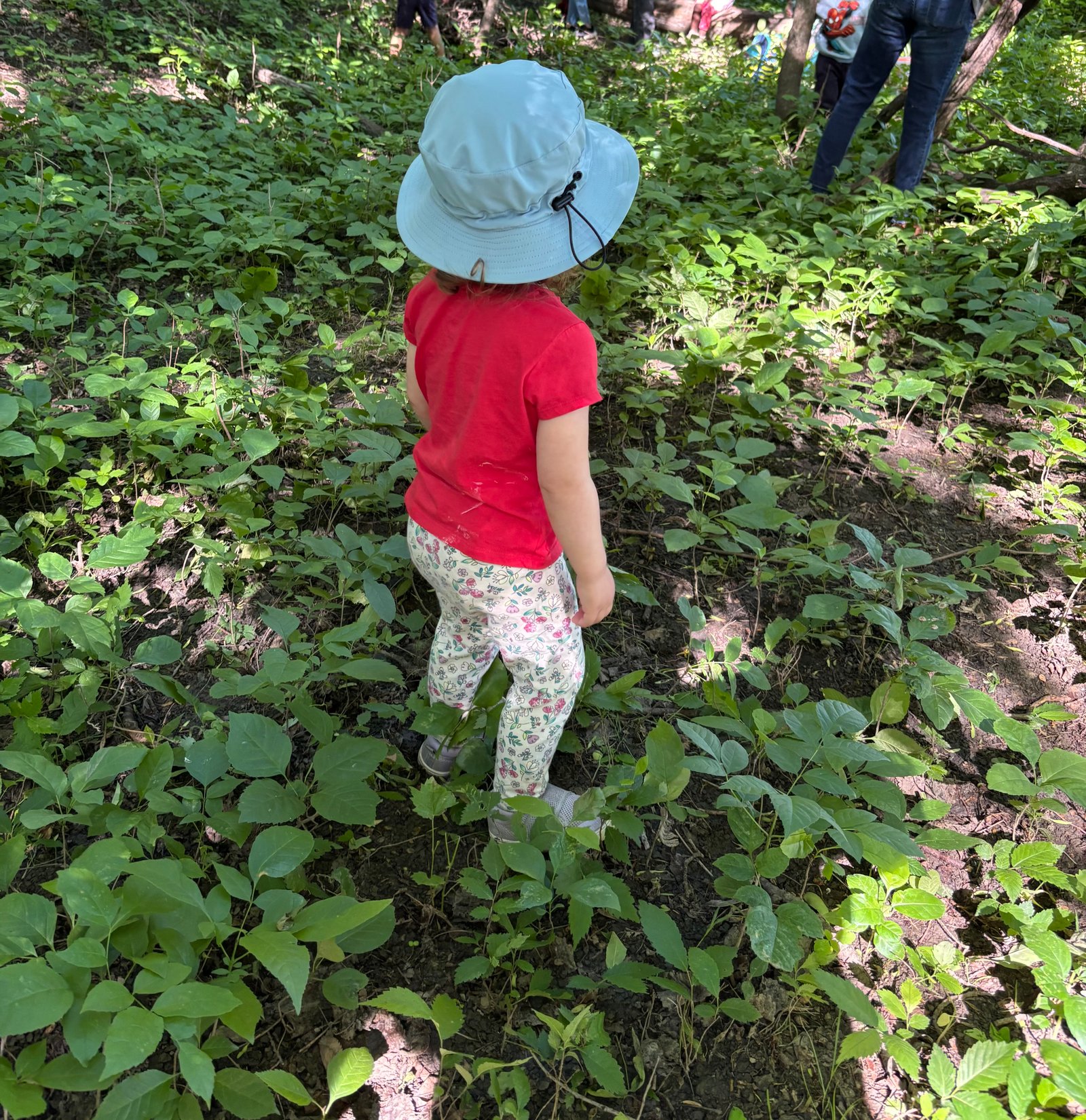 Infant and toddler curriculum photo